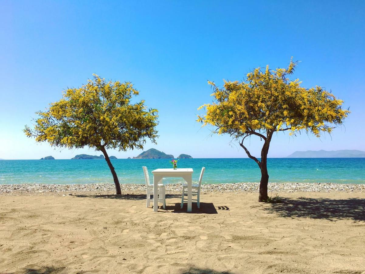 Yonca Lodge Fethiye Exterior photo