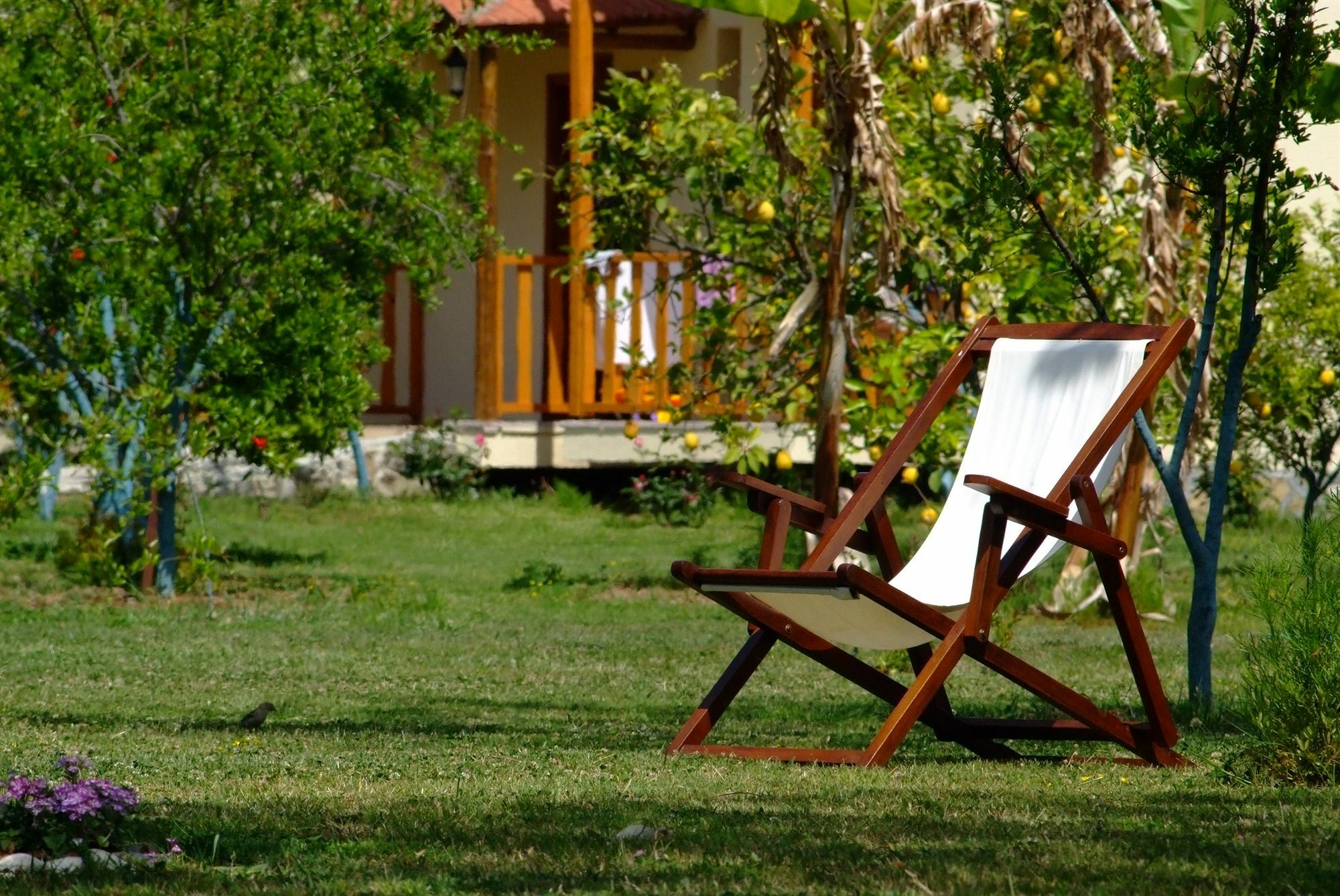 Yonca Lodge Fethiye Exterior photo